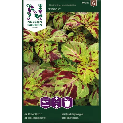 Frø praktspragle Mosaic