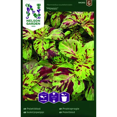 Frø praktspragle Mosaic