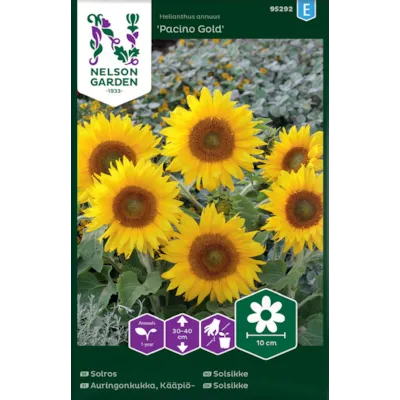 Frø solsikke Pacino Gold