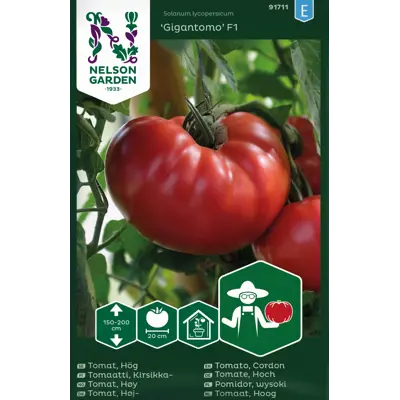 Frø tomat høy Gigantomo