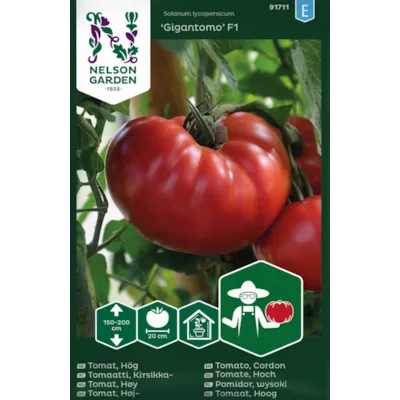Frø tomat høy Gigantomo