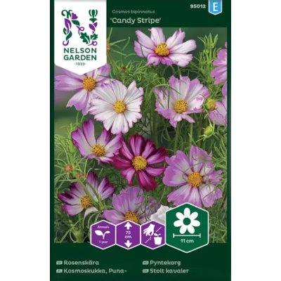 Frø pyntekorg Candy Stripe