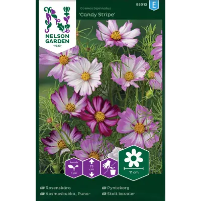 Frø pyntekorg Candy Stripe