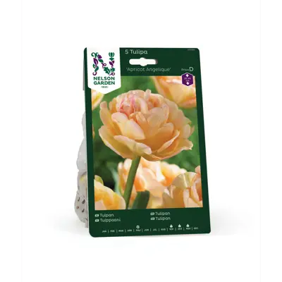 Høstløk tulipan Apricot Angelique