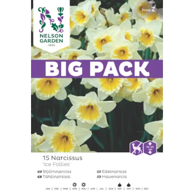 Høstløk edelnarsiss Ice Follies, bilde 3