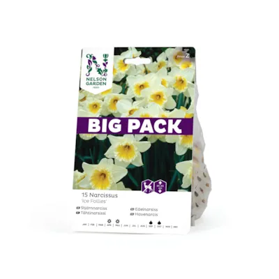 Høstløk edelnarsiss Ice Follies