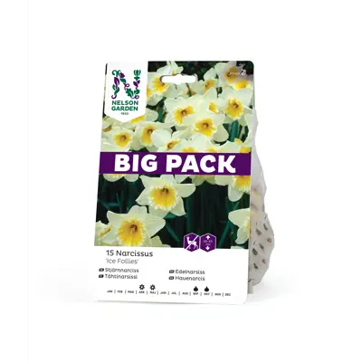 Høstløk edelnarsiss Ice Follies