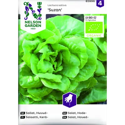 Frø hodesalat Suzan økologisk