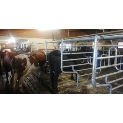 Foringsliggebås, bilde 2