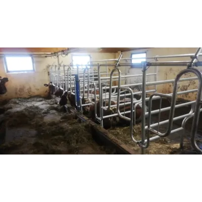 Foringsliggebås, bilde 3