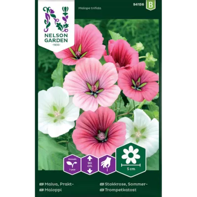 Frø sommerstokkrose