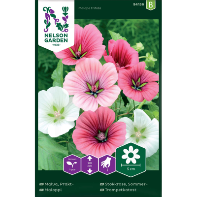 Frø sommerstokkrose