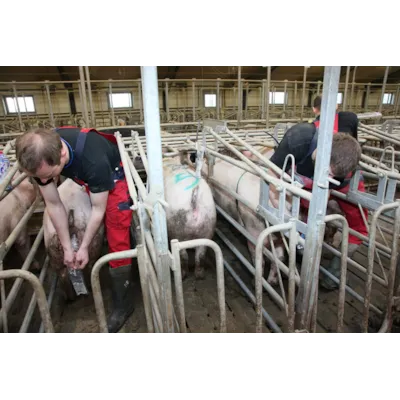 Multiboks Comfort, bilde 2