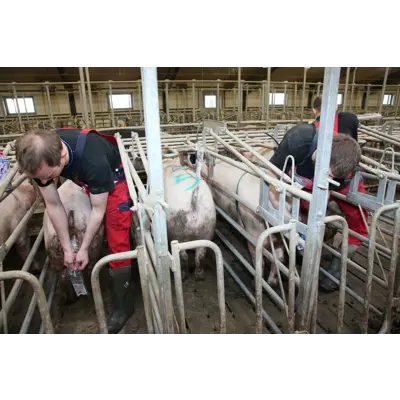 Multiboks Comfort, bilde 2