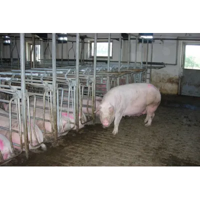 Multiboks Comfort, bilde 3