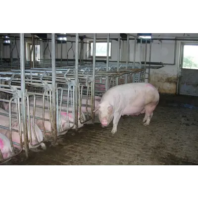 Multiboks Comfort, bilde 3