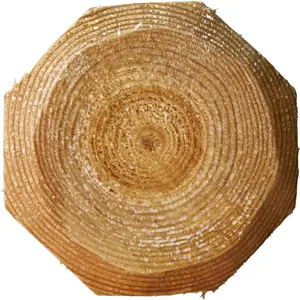 Gjerdestolpe impregnert halv 10x180 cm