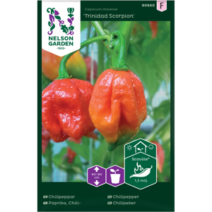 Frø chilipepper Trinidad Scorpion