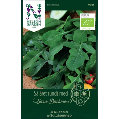 Frø ruccola økologisk