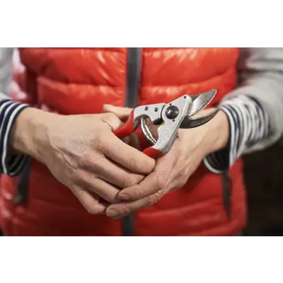 Beskjæringssaks 14, bilde 4