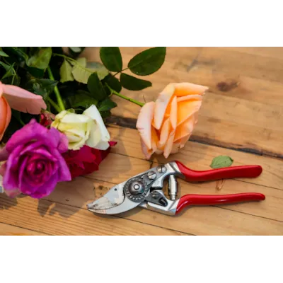 Beskjæringssaks 14, bilde 5