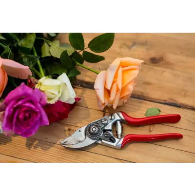 Beskjæringssaks 14, bilde 5