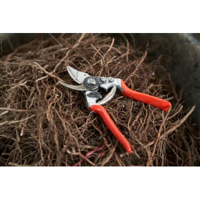 Beskjæringssaks 14, bilde 6