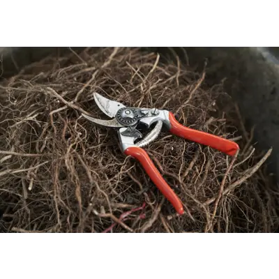 Beskjæringssaks 14, bilde 6