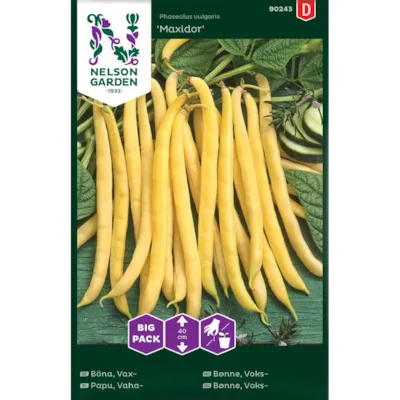 Frø voksbønne Maxidor Big Pack