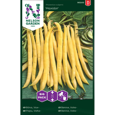 Frø voksbønne Maxidor Big Pack