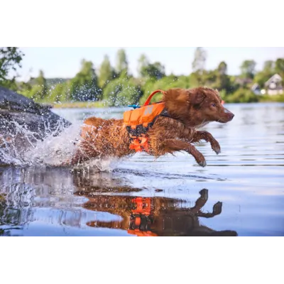 Flytevest Protector Lifejacket 2 orange, bilde 6