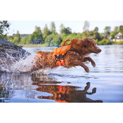 Flytevest Protector Lifejacket 2 orange, bilde 6