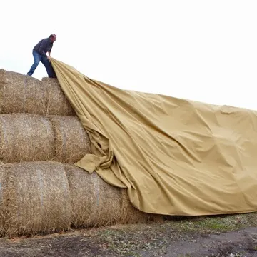 Subtex halmduk, bilde 4