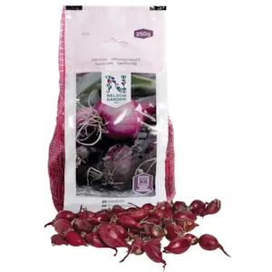 Setteløk rødløk Red Comred 250 g