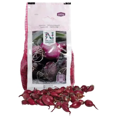 Setteløk rødløk Red Comred 250 g