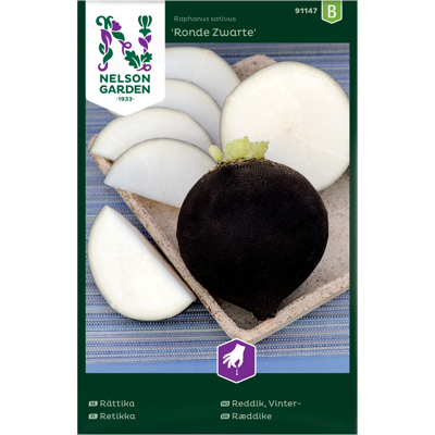 Frø vinterreddik Ronde Zwarte