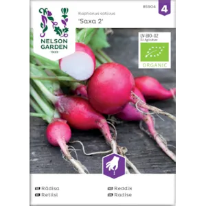 Frø reddik Saxa 2 økologisk