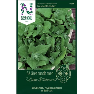 Frø nyzealandsk spinat