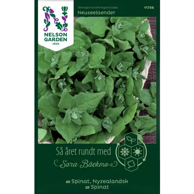 Frø nyzealandsk spinat