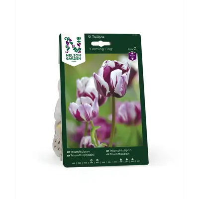 Høstløk tulipan Flaming Flag