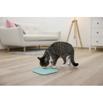 Slikkematte 20x20 cm, bilde 4