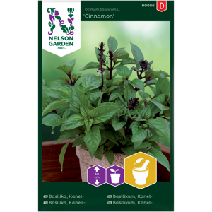 Frø kanelbasilikum Cinnamon