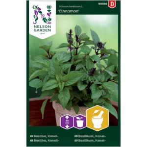 Frø kanelbasilikum Cinnamon