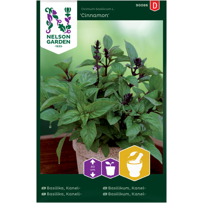 Frø kanelbasilikum Cinnamon