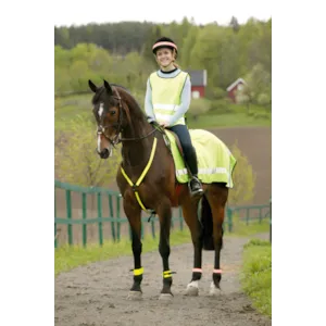 Beinrefleks foret med spenne 2 stk