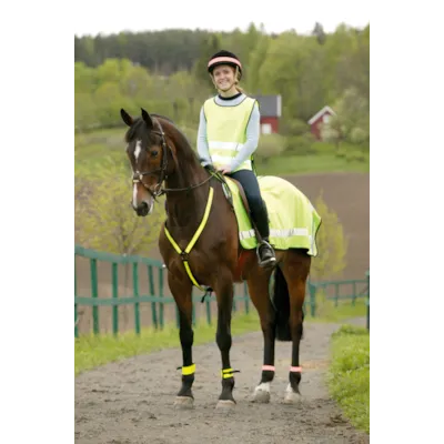 Beinrefleks foret med spenne 2 stk