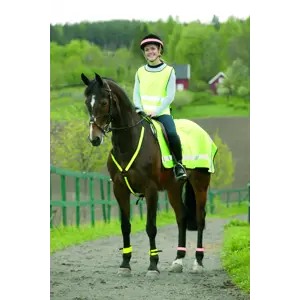 Beinrefleks foret med spenne 2 stk