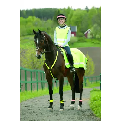 Beinrefleks foret med spenne 2 stk