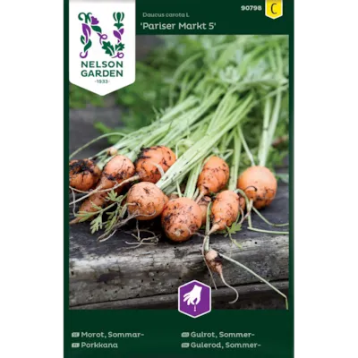 Frø sommergulrot Pariser Markt 5