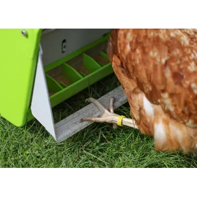 SmartCoop fôrautomat 7,5 kg, bilde 6